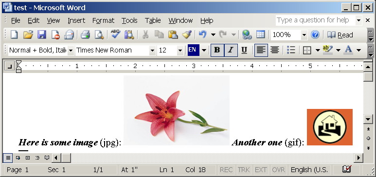 Test Word document with a couple of images